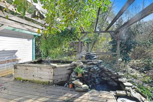 Single Family Residence, Armstrong Woods road, Russian River, CA 95446 - 33
