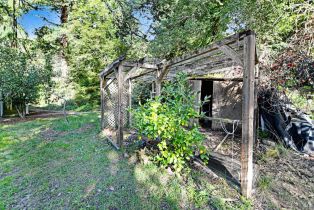 Single Family Residence, Armstrong Woods road, Russian River, CA 95446 - 25