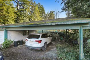 Single Family Residence, Armstrong Woods road, Russian River, CA 95446 - 39