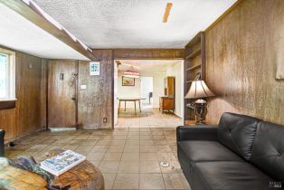 Single Family Residence, Armstrong Woods road, Russian River, CA 95446 - 10