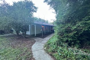 Single Family Residence, Armstrong Woods road, Russian River, CA 95446 - 41