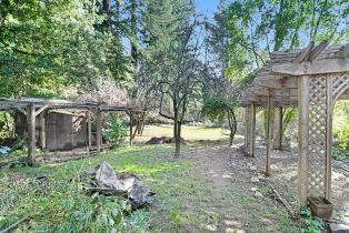 Single Family Residence, Armstrong Woods road, Russian River, CA 95446 - 17