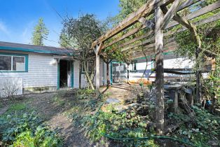 Single Family Residence, Armstrong Woods road, Russian River, CA 95446 - 37