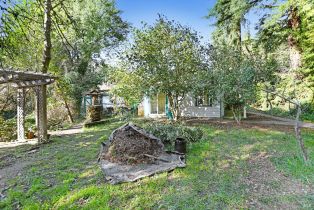Single Family Residence, Armstrong Woods road, Russian River, CA 95446 - 26