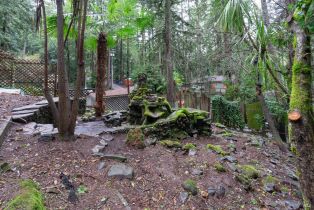 Residential Lot,  Park avenue, Russian River, CA 95446 - 14