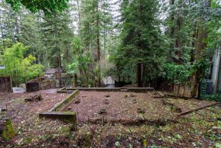 Residential Lot,  Park avenue, Russian River, CA 95446 - 8