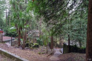 Residential Lot,  Park avenue, Russian River, CA 95446 - 12