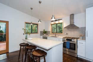 Single Family Residence,  Cherry street, Russian River, CA 95446 - 25