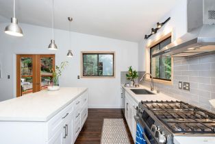 Single Family Residence,  Cherry street, Russian River, CA 95446 - 28