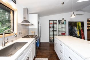 Single Family Residence,  Cherry street, Russian River, CA 95446 - 31