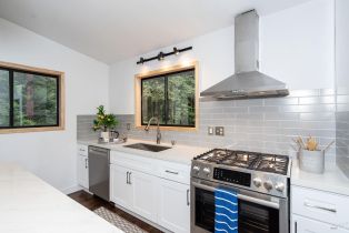 Single Family Residence,  Cherry street, Russian River, CA 95446 - 7