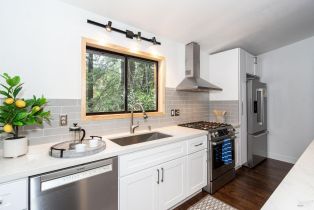 Single Family Residence,  Cherry street, Russian River, CA 95446 - 29