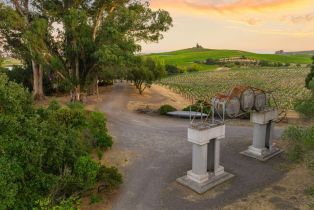 Single Family Residence,  Sonoma highway, Napa, CA 94559 - 15
