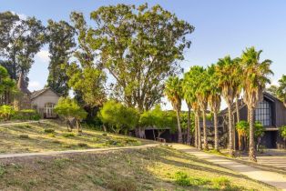 Single Family Residence,  Sonoma highway, Napa, CA 94559 - 61