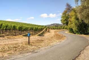 Single Family Residence,  Sonoma highway, Napa, CA 94559 - 43