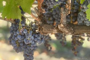 Single Family Residence,  Big Ranch road, Napa, CA 94558 - 60