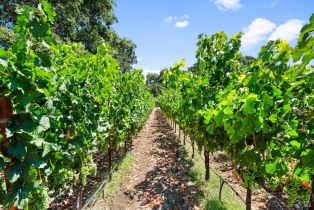 Single Family Residence,  Big Ranch road, Napa, CA 94558 - 47