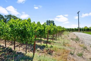 Single Family Residence,  Big Ranch road, Napa, CA 94558 - 49