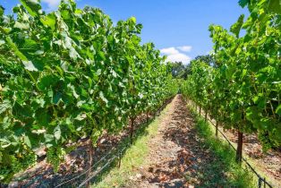 Single Family Residence,  Big Ranch road, Napa, CA 94558 - 48