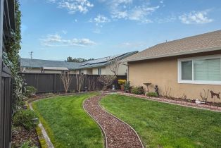Single Family Residence,  Mission drive, Sonoma, CA 95476 - 25