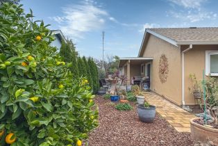 Single Family Residence,  Mission drive, Sonoma, CA 95476 - 28