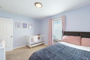 Single Family Residence,  Dewitt avenue, Napa, CA 94558 - 23