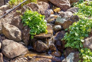 Single Family Residence,  Peppergrass street, Napa, CA 94559 - 73