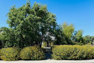 Single Family Residence,  Newcomb street, Sonoma, CA 95476 - 5