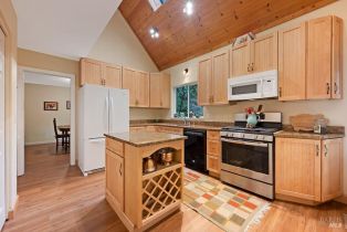 Single Family Residence, Cazadero highway, Russian River, CA 95421 - 7