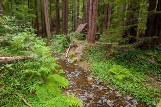Single Family Residence, Cazadero highway, Russian River, CA 95421 - 26