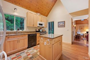Single Family Residence, Cazadero highway, Russian River, CA 95421 - 11