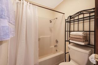 Single Family Residence, Cazadero highway, Russian River, CA 95421 - 32