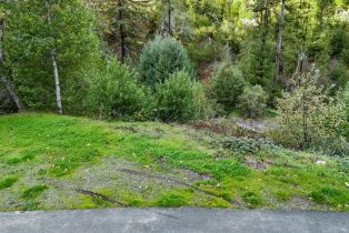 Residential Acreage,  Redwood road, Napa, CA 94558 - 7