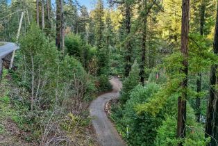 Residential Acreage,  Redwood road, Napa, CA 94558 - 4