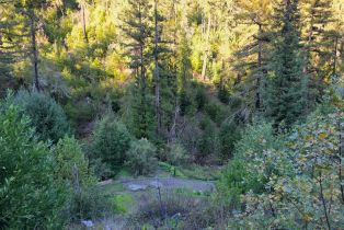 Residential Acreage,  Redwood road, Napa, CA 94558 - 8