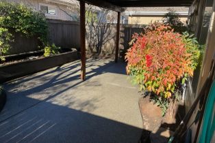 Single Family Residence, Benny Goodman way, Windsor, CA 94952 - 21