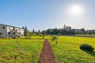 Single Family Residence, Gravenstein highway, Sebastopol, CA 95472 - 70