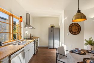 Single Family Residence, Gravenstein highway, Sebastopol, CA 95472 - 53