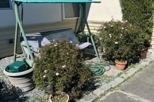 Single Family Residence,  Arlington drive, Petaluma, CA 94952 - 4