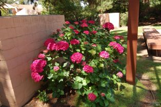 Condominium,  Marina drive, Napa, CA 94559 - 43