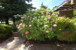 Condominium,  Marina drive, Napa, CA 94559 - 44