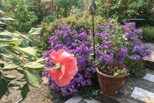 Single Family Residence, Sleepy Hollow drive, Santa Rosa, CA 95404 - 36