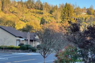 Single Family Residence, Sleepy Hollow drive, Santa Rosa, CA 95404 - 44