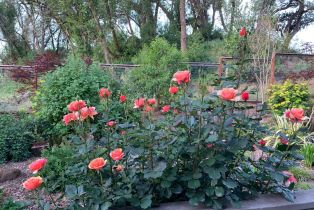 Single Family Residence, Sleepy Hollow drive, Santa Rosa, CA 95404 - 34