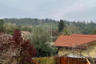 Single Family Residence, Sleepy Hollow drive, Santa Rosa, CA 95404 - 46