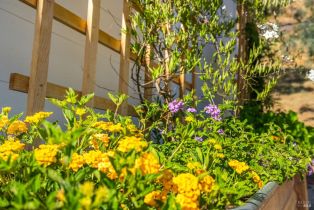 Single Family Residence, Wragg Canyon road, Napa, CA 94558 - 12