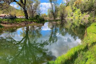 Single Family Residence, Wragg Canyon road, Napa, CA 94558 - 55