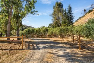 Single Family Residence, Wragg Canyon road, Napa, CA 94558 - 4