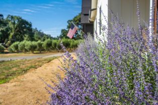 Single Family Residence, Wragg Canyon road, Napa, CA 94558 - 13