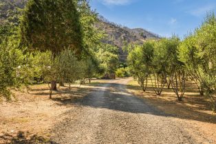 Single Family Residence, Wragg Canyon road, Napa, CA 94558 - 5